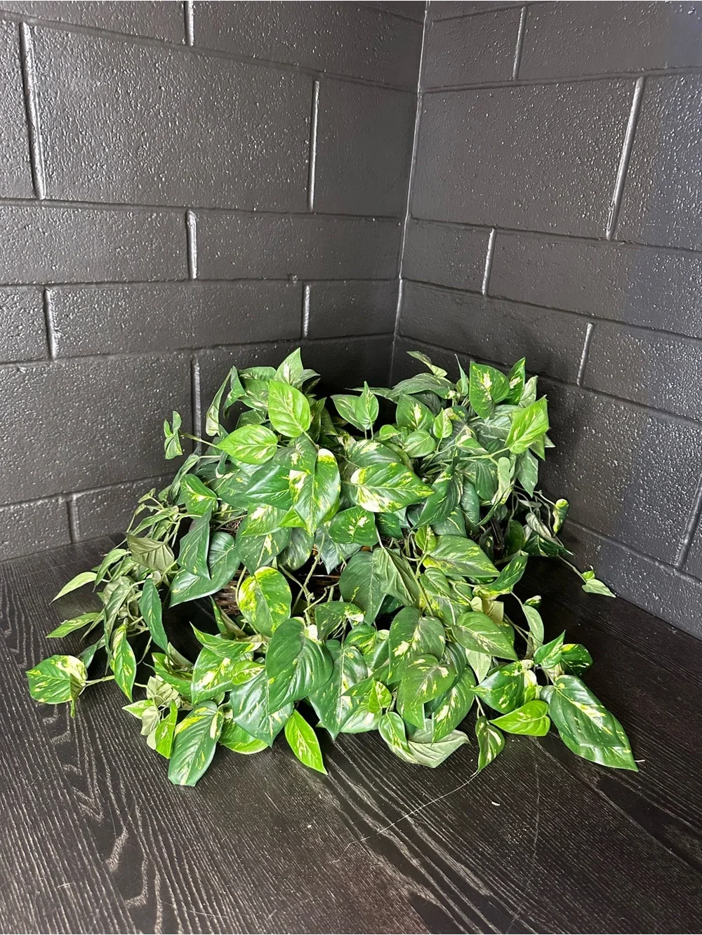 Faux Green Trailing Houseplant in Brown Woven Planter Basket
